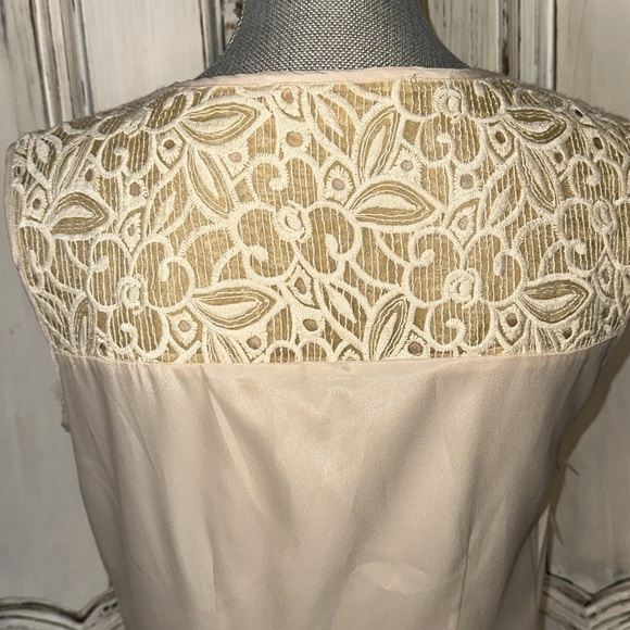 Champagne & Strawberry Sleeveless V Neck 3D Blush and Lace Statement Dress S/8P - Picture 9 of 14